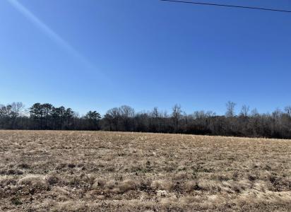 Tract 15 Edgewood Road, Athens, Alabama 35611, USA