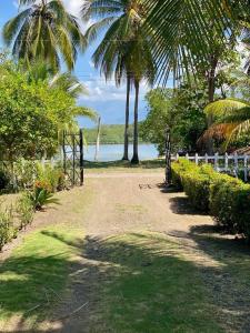 Palo Seco , Parrita Parrita, Puntarenas 60901, Costa Rica