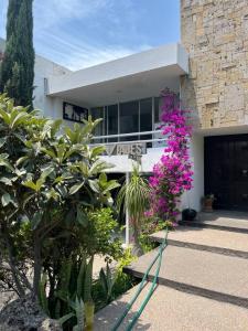 Celaya, Guanajuato 38050, Meksika