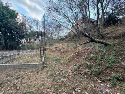 Oaxaca De Juárez, Oaxaca 68020, Mexico