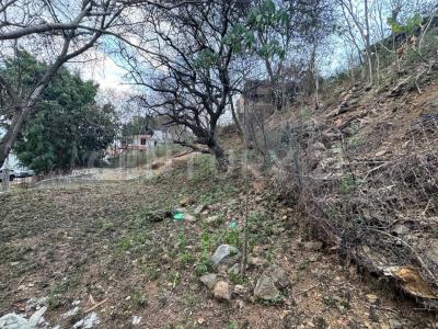 Oaxaca De Juárez, Oaxaca 68020, Mexico