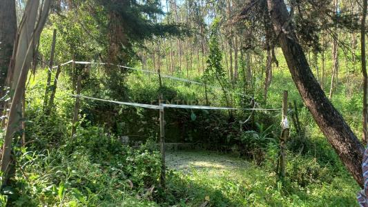 Montemor O Velho, Coimbra 3140-653, Portogallo