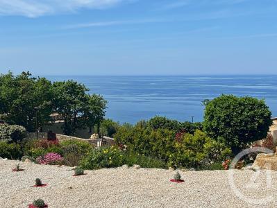 Corbara, Corse 20256, Франция