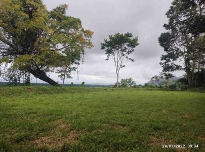 San Buenaventura Puerto Cortés Osa, Puntarenas 00001, 코스타리카