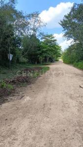 Puerto Morelos, Quintana Roo 77590, Mexico