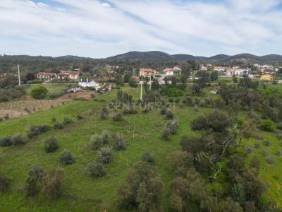 Lousã, Coimbra 3200-318, Bồ Đào Nha