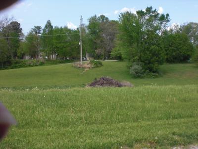 Lot 20 Scotty Drive, Carbondale, Illinois 62903, Estados Unidos