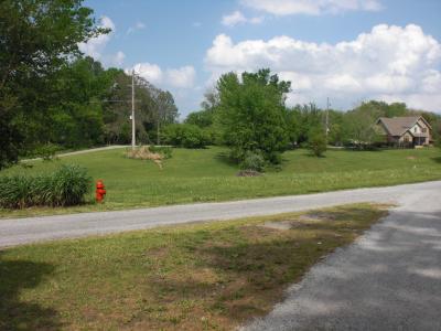 Lot 20 Scotty Drive, Carbondale, Illinois 62903, Estados Unidos