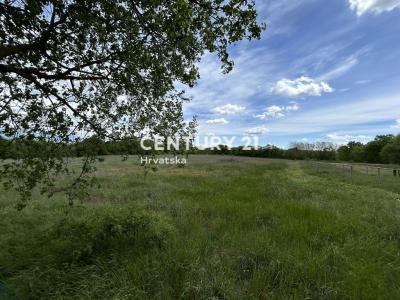 Bale, Bale, Istarska Županija 52211, Croatia