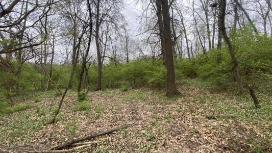 6448 E 114th Place, Crown Point, Индиана 46307, Соединенные Штаты