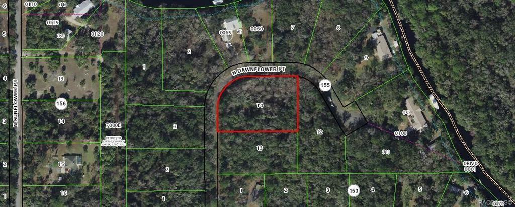 10521 N Dawnflower Point, Crystal River, Floryda 34428, USA