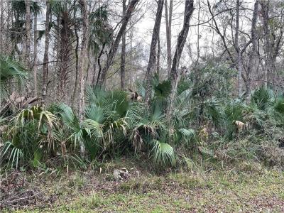 10521 N Dawnflower Point, Crystal River, Floryda 34428, USA