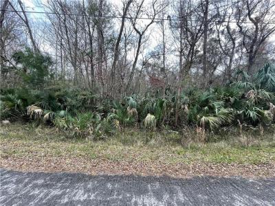 10521 N Dawnflower Point, Crystal River, Floryda 34428, USA