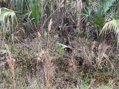 10521 N Dawnflower Point, Crystal River, Floryda 34428, USA