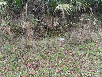 10521 N Dawnflower Point, Crystal River, Floryda 34428, USA