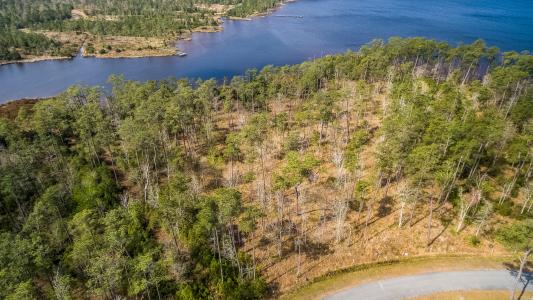 286 Mason Bay Road, Merritt, شمال كارولينا 28556, الولايات المتحدة
