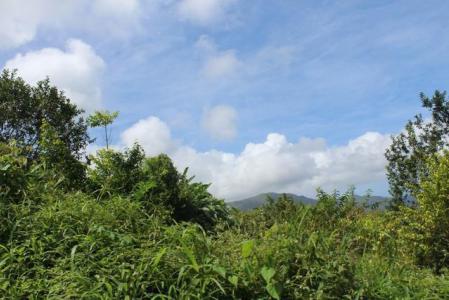 La Digue Lot A, Dry River Estate, La Digue, St.Andrew West Indies, גרנדה 