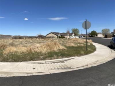 3050 Spring Cir, Silver Springs, Nevada 89429