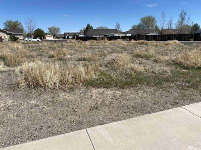 3050 Spring Cir, Silver Springs, Nevada 89429