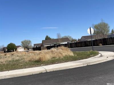 3050 Spring Cir, Silver Springs, Nevada 89429