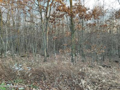 Sycamore Drive, Drums, Pensilvania 18222, Estados Unidos