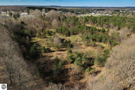 V/L Honor Highway, Interlochen, Michigan 49643