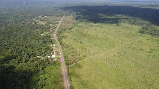 Golden Stream, Toledo 00001, 貝里斯