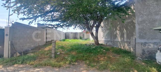 Aldama 7,, Temixco, Морелос 62582, Мексика