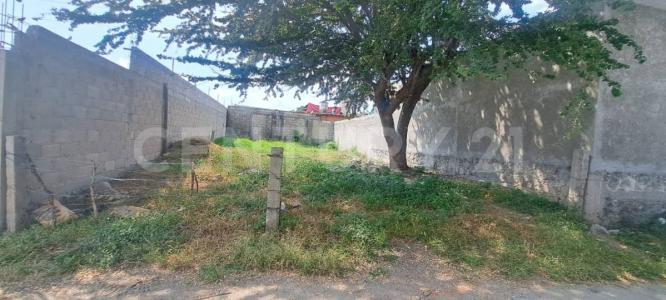 Aldama 7,, Temixco, Морелос 62582, Мексика