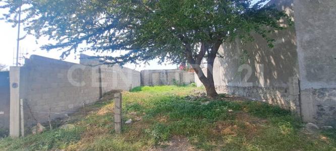 Aldama 7,, Temixco, Морелос 62582, Мексика