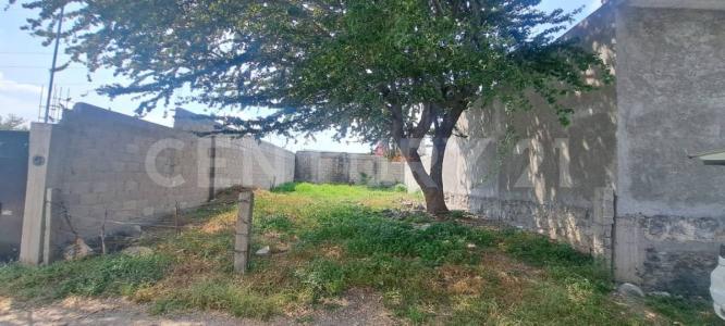 Aldama 7,, Temixco, Морелос 62582, Мексика