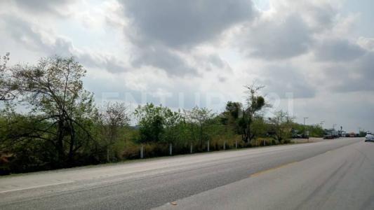 González, Tamaulipas 89705, Mexico