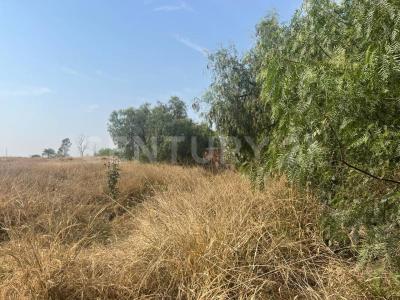 Apaseo El Grande, ولاية غواناخواتو 38160, المكسيك