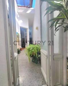 La Comercial, Montevideo 00001, Uruguay