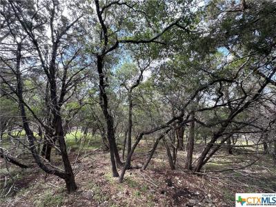 15950 Brazos Drive, Temple, Texas 76502, USA