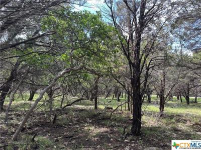 15950 Brazos Drive, Temple, Texas 76502, USA