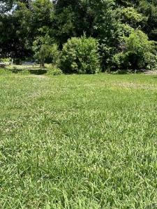 292 Grand Caillou, Houma, Louisiana 70363, USA