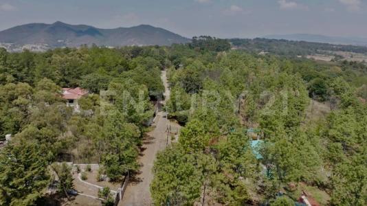 San José de los Encinos SN,, Amealco De Bonfil, Querétaro 76850, México
