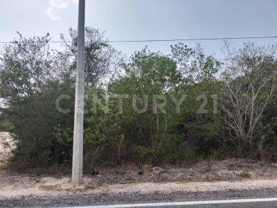 Salina Cruz, Oaxaca 70600, México