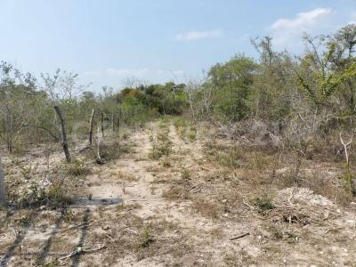 Salina Cruz, Oaxaca 70600, Mexique