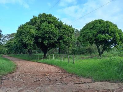 Potrero Poi , Caacupé, Cordillera 3000, Paraguay