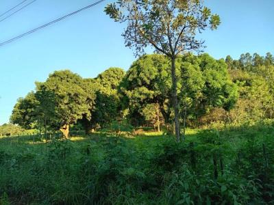 Potrero Poi , Caacupé, Cordillera 3000, Paraguay