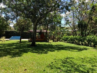 Colón Mora, San José 00001, Costa Rica