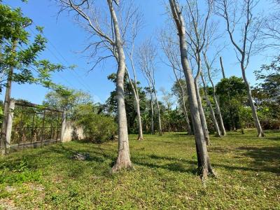 Villahermosa Centro, Tabasco 86280, Mexico