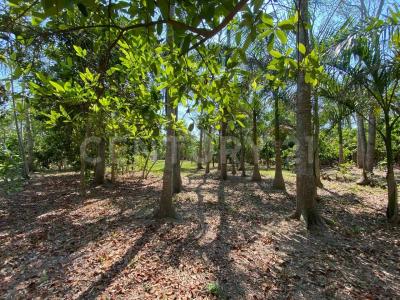 Villahermosa Centro, Tabasco 86280, Mexico