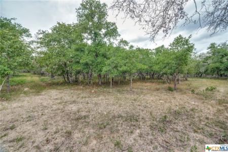 120 Longhorn Road Road, Stockdale, Texas 78160, États-Unis