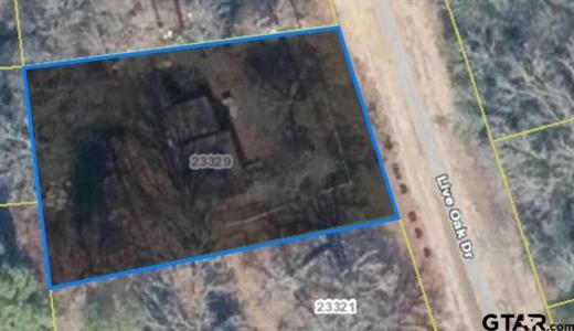 23329 Live Oak Dr, Mineola, Texas 75773, Estados Unidos