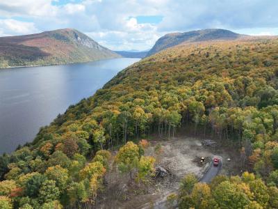 -- Foliage Lane, Westmore, ורמונט 05822, ארצות הברית של אמריקה 