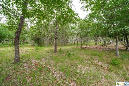 316 Shorthorn Road, Stockdale, Texas 78160, États-Unis