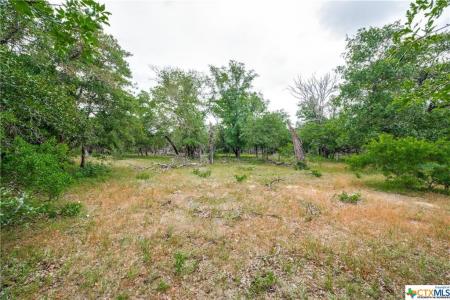 316 Shorthorn Road, Stockdale, טקסס 78160, ארצות הברית של אמריקה